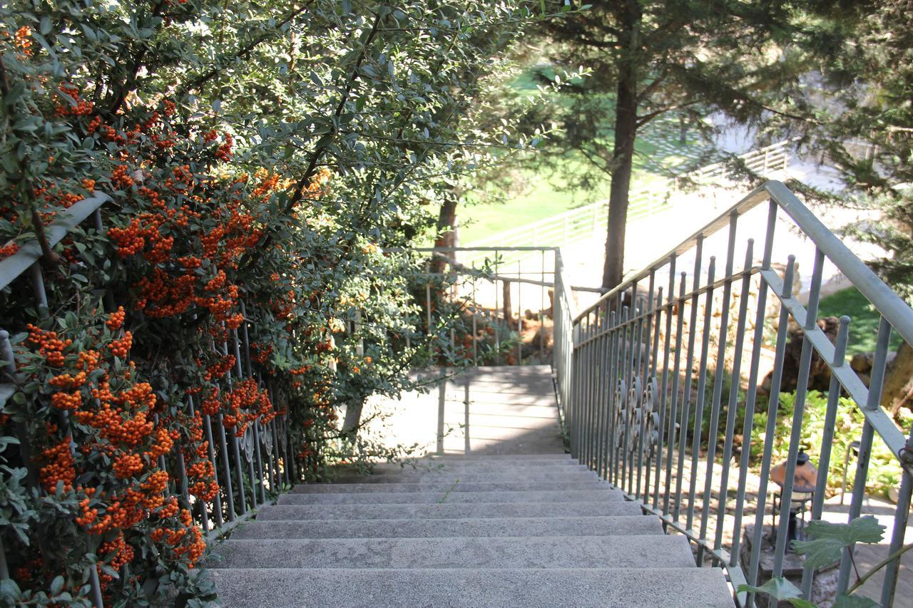 Domaine De Chouchene Hotel Sahrat al Qashsh Bagian luar foto